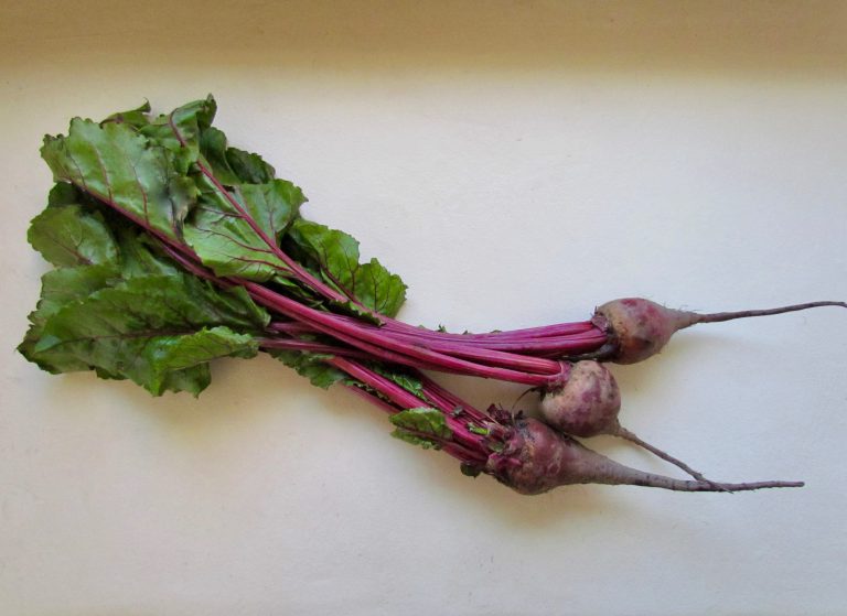 Beets with a Creamy Red Chile Dressing New Mexico Farmers' Marketing
