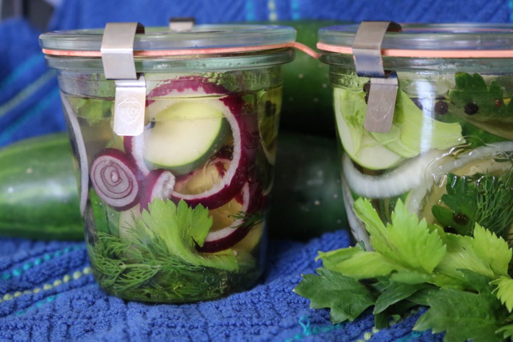 ShortTerm CucumberOnion Pickles New Mexico Farmers' Marketing