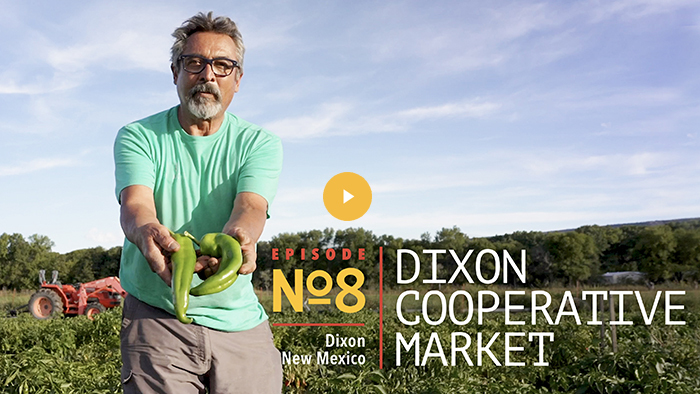 Video Thumbnail with play button