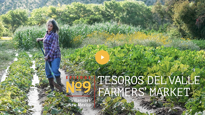 Video Thumbnail with play button