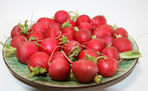 plate-of-radishes